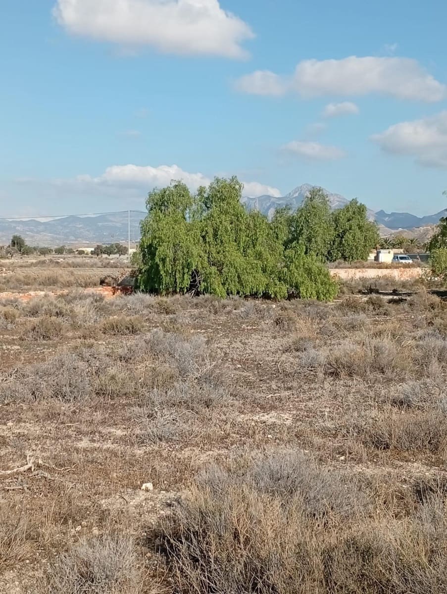 Mark till salu i Muchamiel / Mutxamel - 239 000 € (Ref: 9462108)