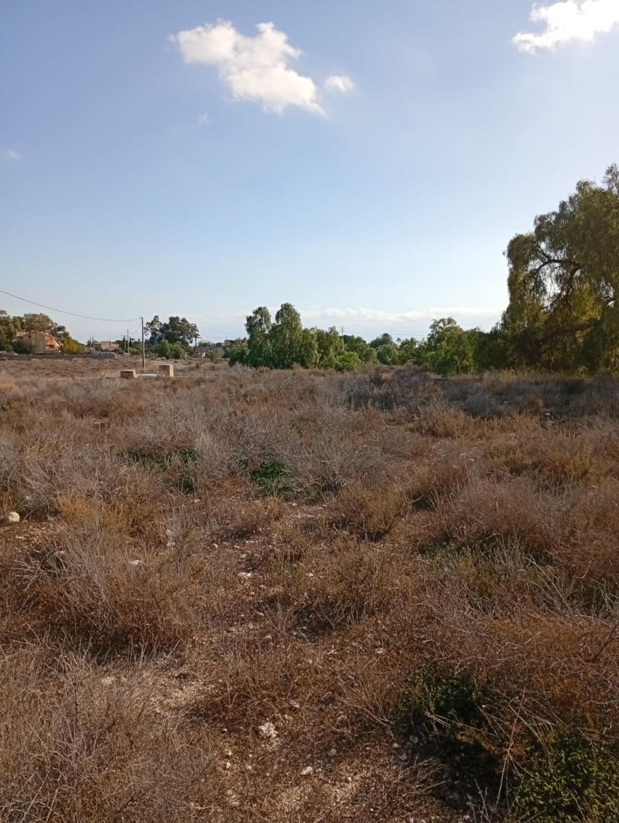 Mark till salu i Muchamiel / Mutxamel - 239 000 € (Ref: 9462108)