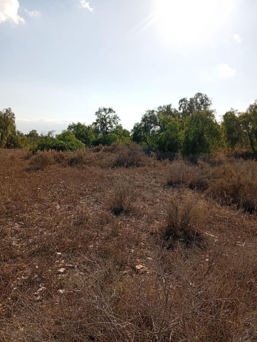 Mark till salu i Muchamiel / Mutxamel - 239 000 € (Ref: 9462108)