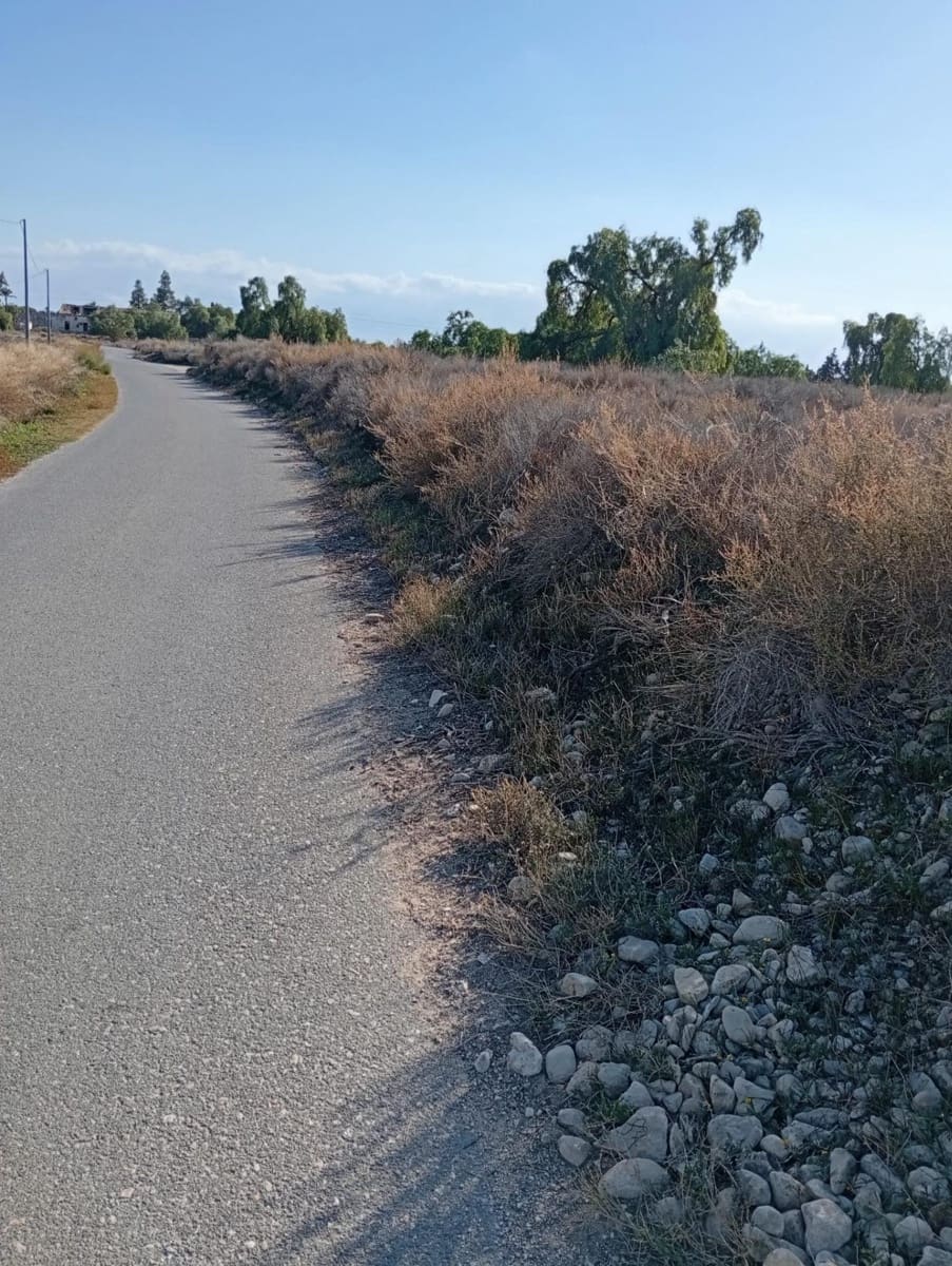 Mark till salu i Muchamiel / Mutxamel - 239 000 € (Ref: 9462108)