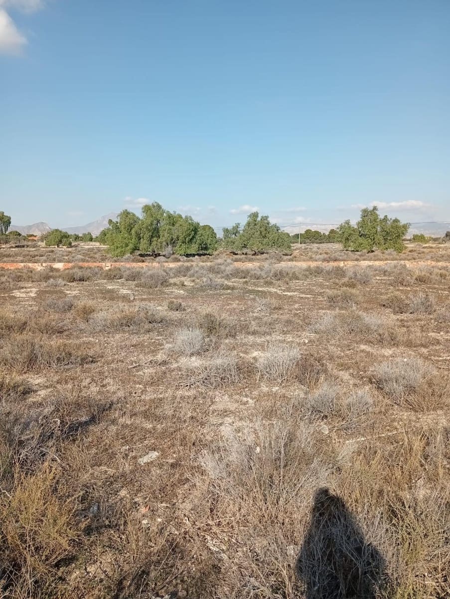 Mark till salu i Muchamiel / Mutxamel - 239 000 € (Ref: 9462108)