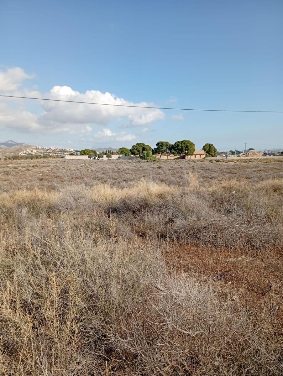 Mark till salu i Muchamiel / Mutxamel - 239 000 € (Ref: 9462108)