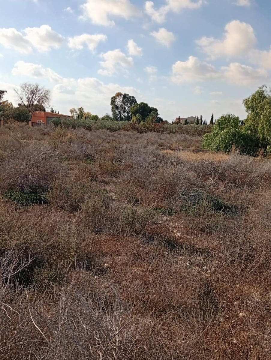 Mark till salu i Muchamiel / Mutxamel - 239 000 € (Ref: 9462108)