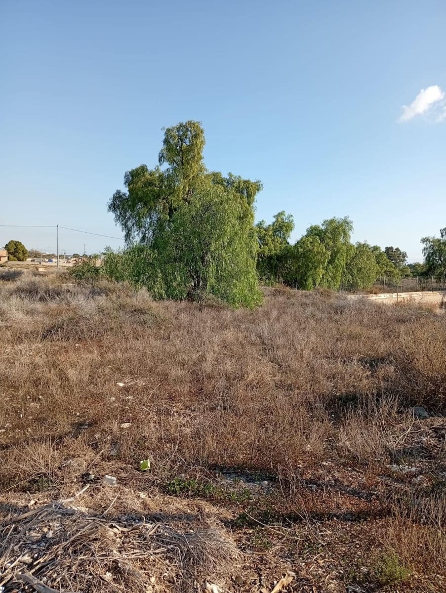 Mark till salu i Muchamiel / Mutxamel - 239 000 € (Ref: 9462108)