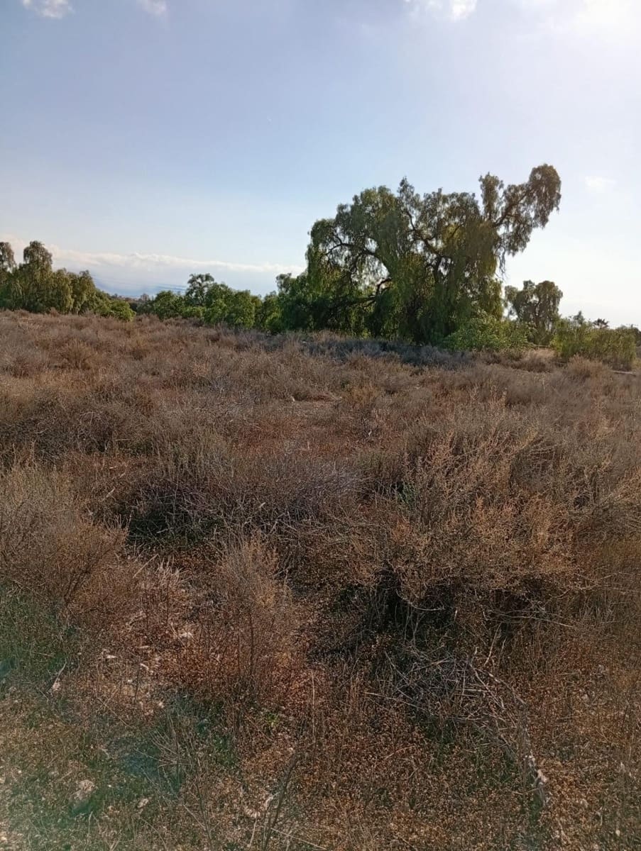 Mark till salu i Muchamiel / Mutxamel - 239 000 € (Ref: 9462108)