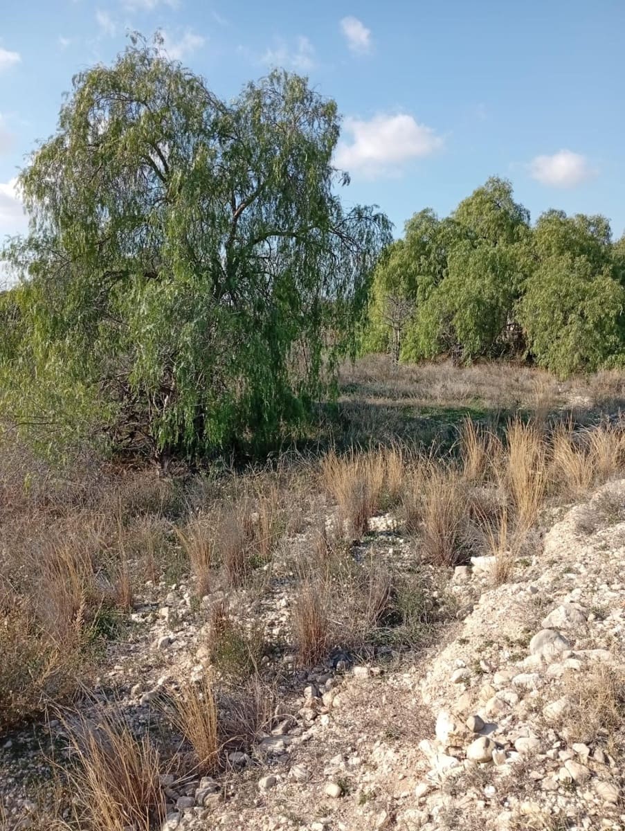 Mark till salu i Muchamiel / Mutxamel - 239 000 € (Ref: 9462108)