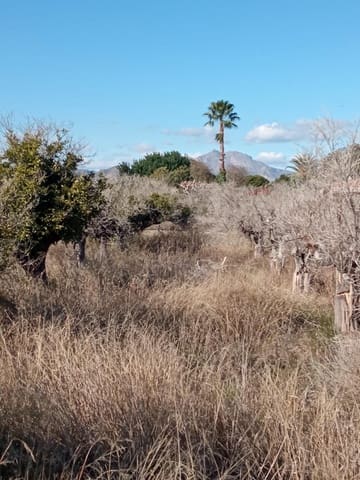 Undeveloped Land for sale in Muchamiel / Mutxamel - € 55,000 (Ref: 9483532)