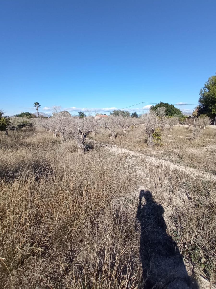 Undeveloped Land for sale in Muchamiel / Mutxamel - € 55,000 (Ref: 9483532)