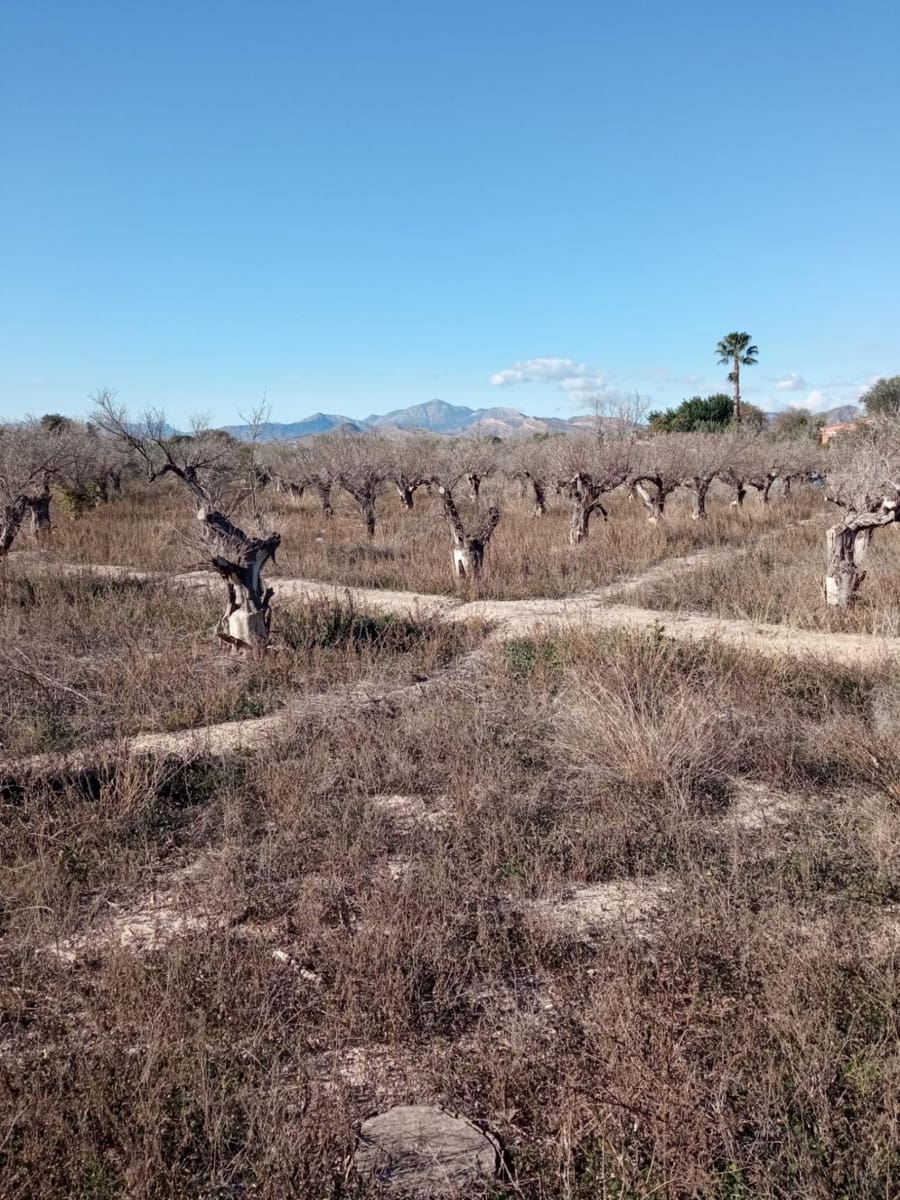 Undeveloped Land for sale in Muchamiel / Mutxamel - € 55,000 (Ref: 9483532)