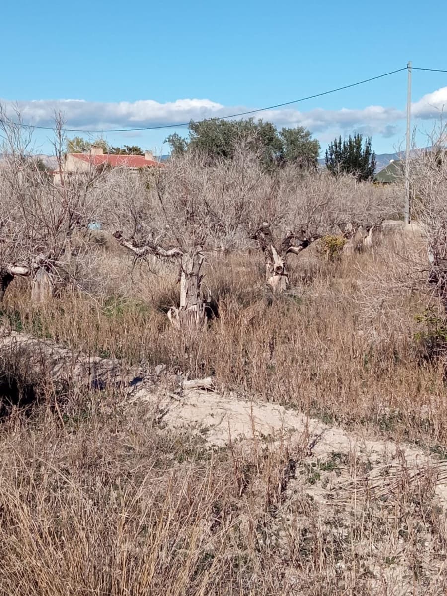 Undeveloped Land for sale in Muchamiel / Mutxamel - € 55,000 (Ref: 9483532)