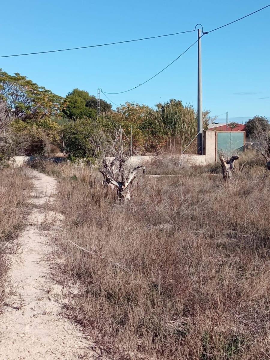 Undeveloped Land for sale in Muchamiel / Mutxamel - € 55,000 (Ref: 9483532)