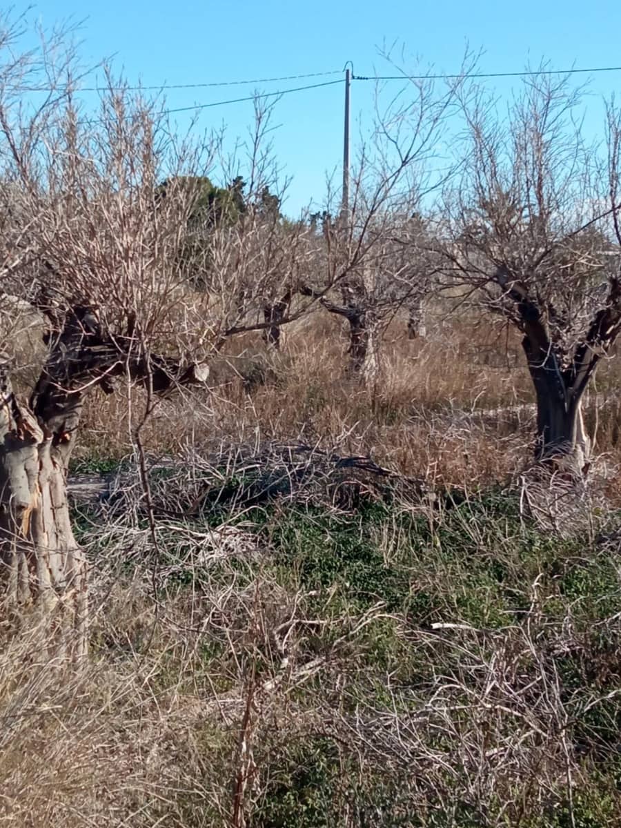 Undeveloped Land for sale in Muchamiel / Mutxamel - € 55,000 (Ref: 9483532)