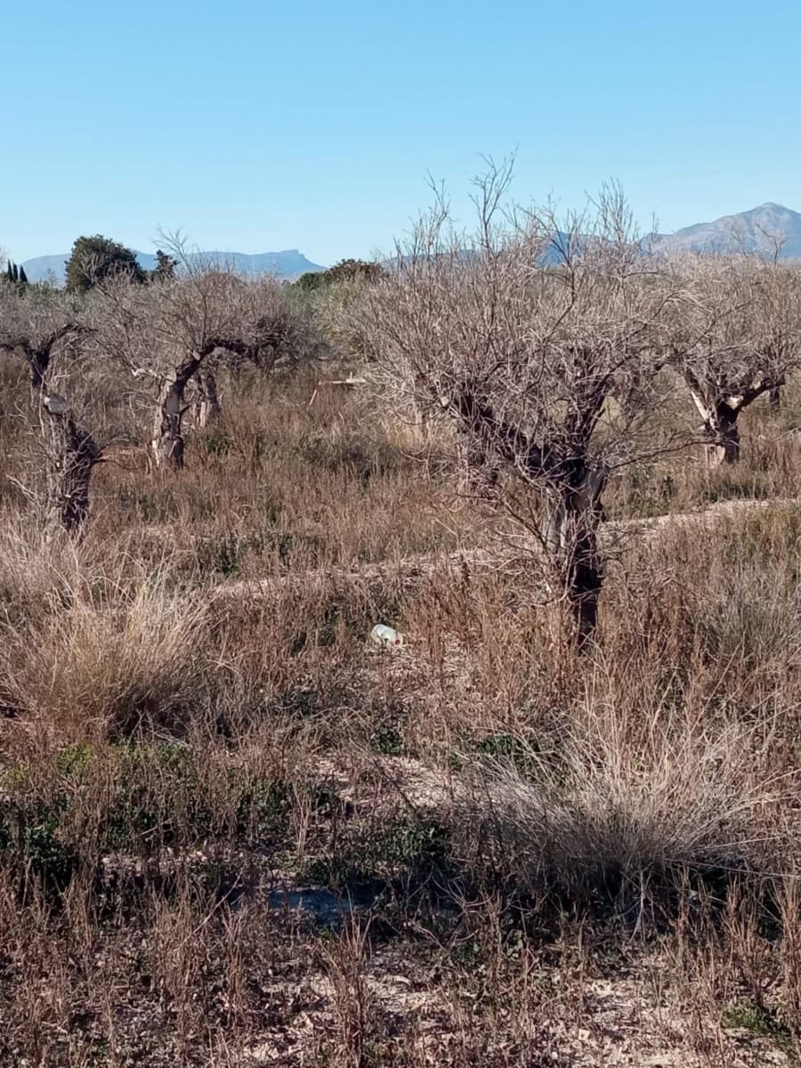 Undeveloped Land for sale in Muchamiel / Mutxamel - € 55,000 (Ref: 9483532)