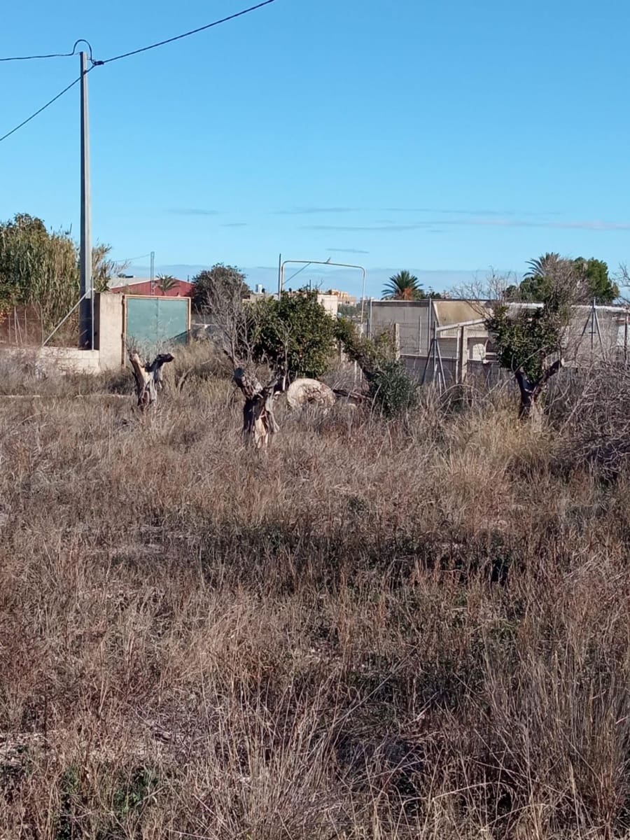 Undeveloped Land for sale in Muchamiel / Mutxamel - € 55,000 (Ref: 9483532)