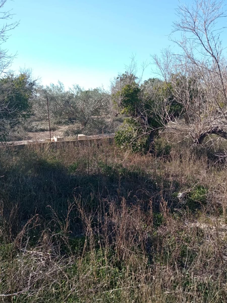 Undeveloped Land for sale in Muchamiel / Mutxamel - € 55,000 (Ref: 9483532)