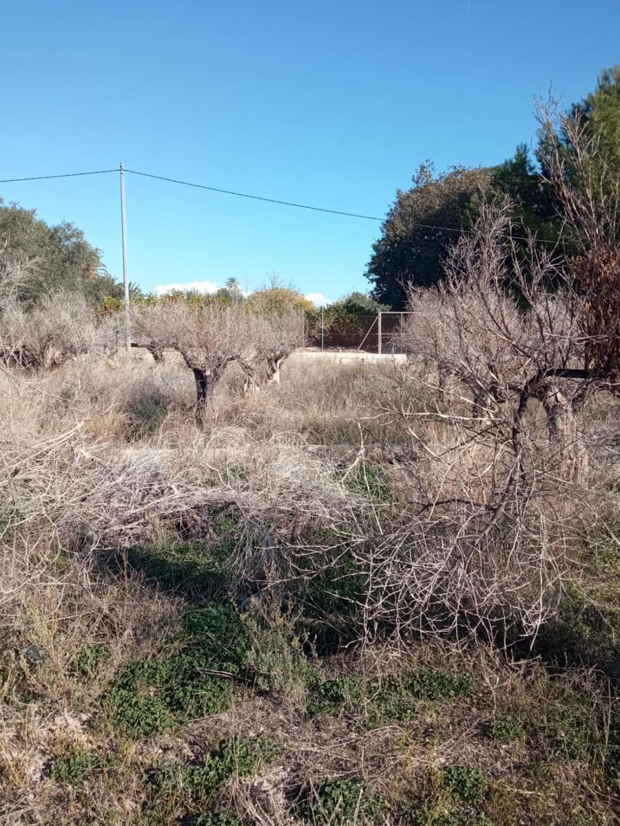 Undeveloped Land for sale in Muchamiel / Mutxamel - € 55,000 (Ref: 9483532)