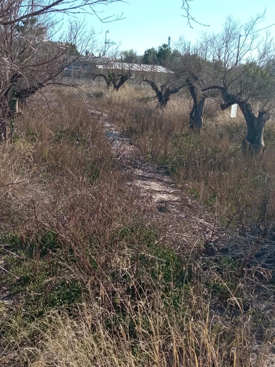 Undeveloped Land for sale in Muchamiel / Mutxamel - € 55,000 (Ref: 9483532)