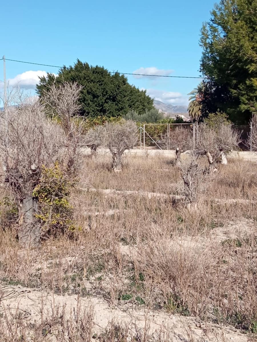 Undeveloped Land for sale in Muchamiel / Mutxamel - € 55,000 (Ref: 9483532)