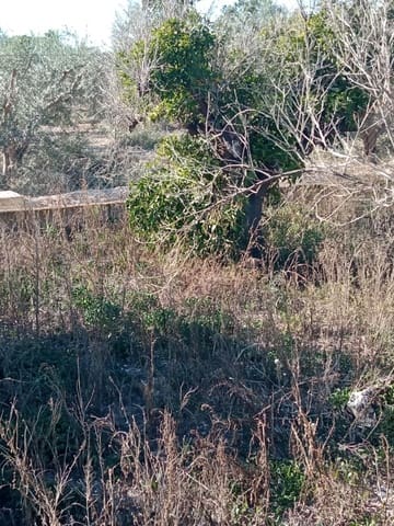 Undeveloped Land for sale in Muchamiel / Mutxamel - € 55,000 (Ref: 9483532)