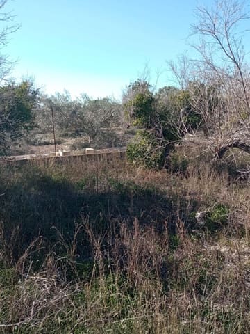 Undeveloped Land for sale in Muchamiel / Mutxamel - € 55,000 (Ref: 9483532)