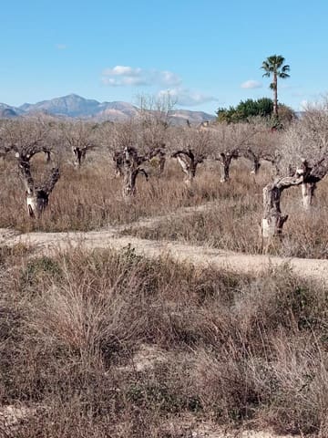 Undeveloped Land for sale in Muchamiel / Mutxamel - € 55,000 (Ref: 9483532)