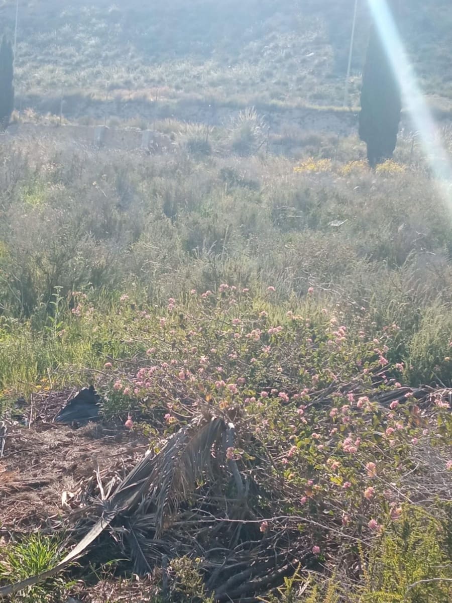 Building Plot for sale in Alicante / Alacant city - € 98,000 (Ref: 9840374)