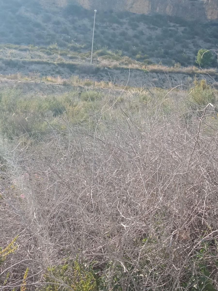 Building Plot for sale in Alicante / Alacant city - € 98,000 (Ref: 9840374)