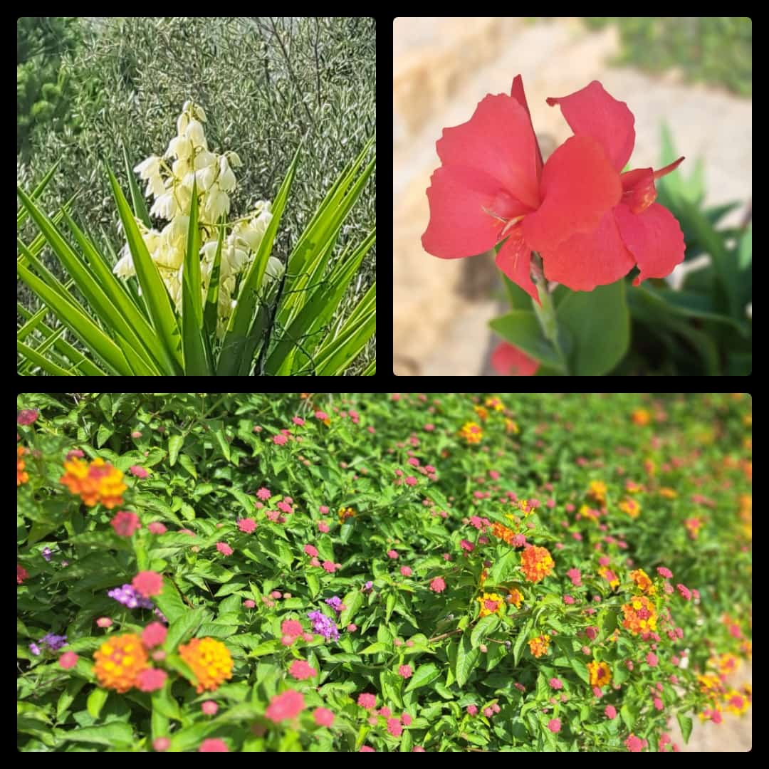 9 makuuhuone Majatalo/aamiaismajoitus myytävänä paikassa Calig mukana uima-altaan 
autotalli - 755 000 € (Ref: 7517493)