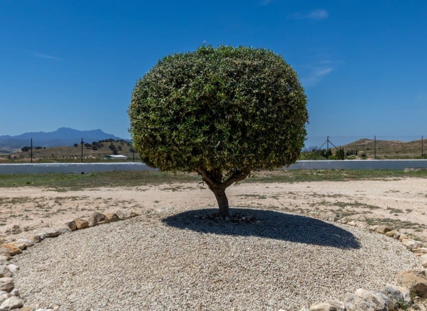 3 sypialnia Finka/Dom wiejski na sprzedaż w Torre del Rico - 510 000 € (Ref: 9038273)