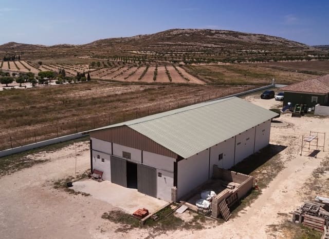 3 sypialnia Finka/Dom wiejski na sprzedaż w Torre del Rico, Jumilla - 510 000 € (Ref: 9038273)