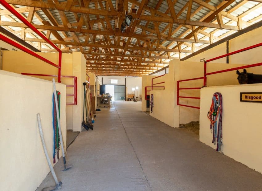 3 sypialnia Finka/Dom wiejski na sprzedaż w Torre del Rico - 510 000 € (Ref: 9038273)