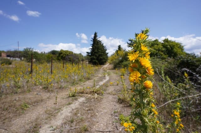 3 chambre Finca/Maison de Campagne à vendre à Cancelada, Estepona avec piscine garage - 1 330 000 € (Ref: 7622489)