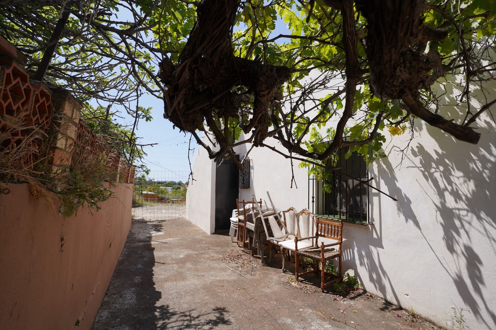 3 chambre Finca/Maison de Campagne à vendre à Cancelada avec piscine garage - 1 400 000 € (Ref: 7622489)