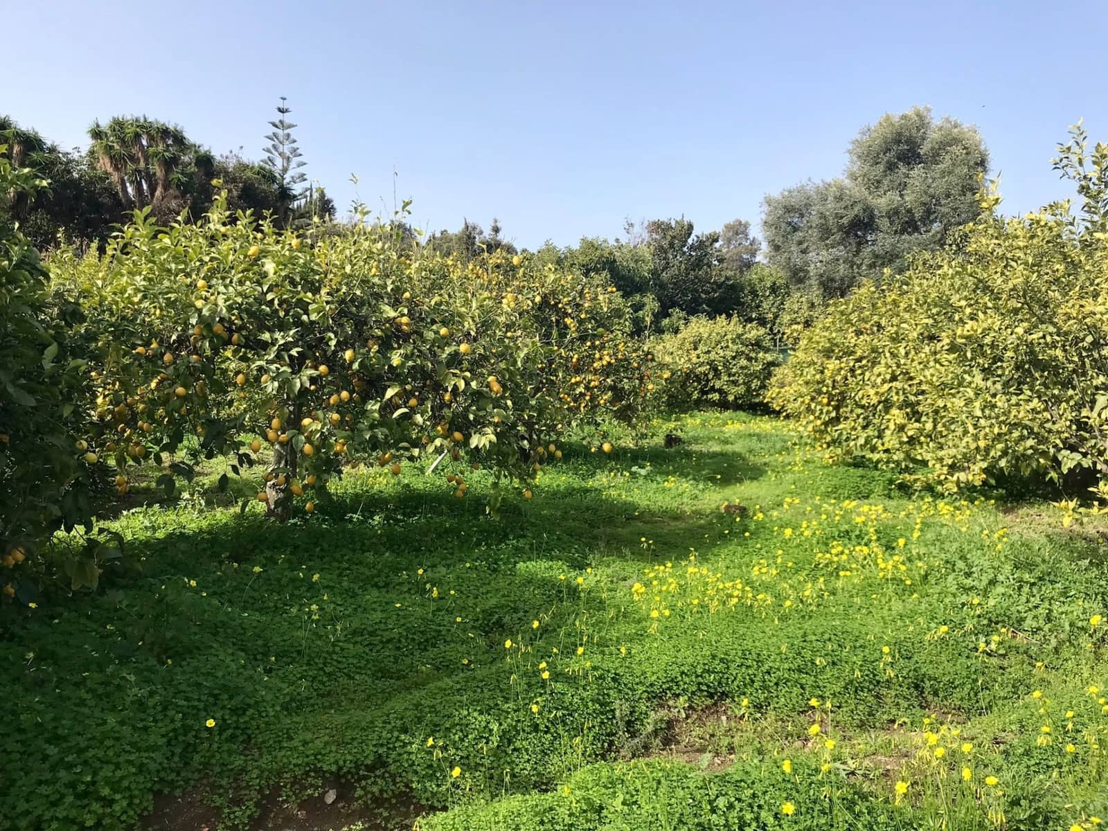 2 sypialnia Finka/Dom wiejski na sprzedaż w El Velerin z basenem garażem - 380 000 € (Ref: 7654077)