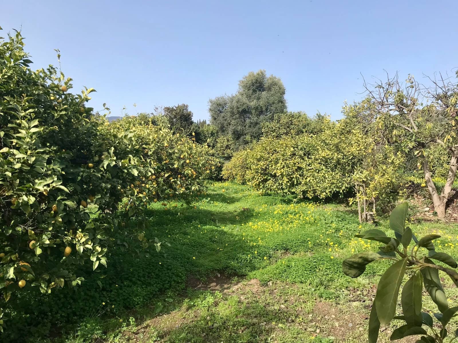 2 sypialnia Finka/Dom wiejski na sprzedaż w El Velerin z basenem garażem - 380 000 € (Ref: 7654077)