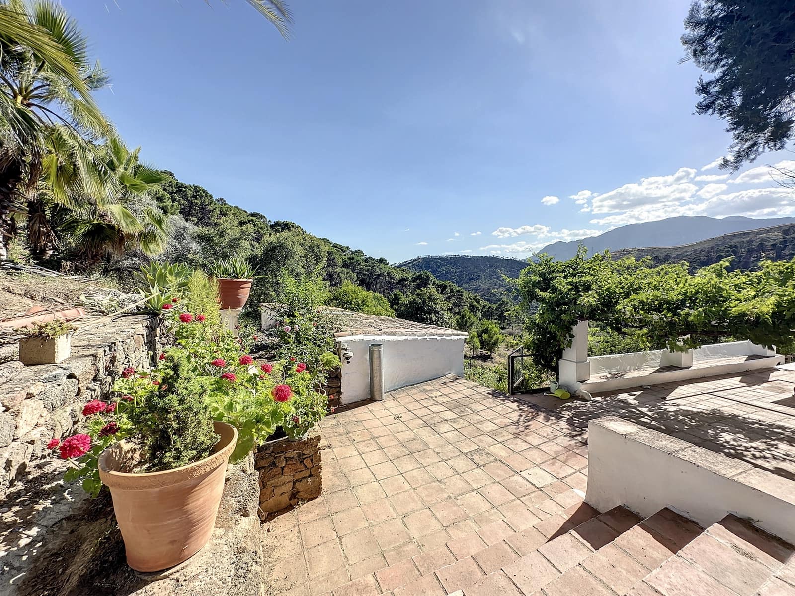 4 bedroom Finca/Country House for sale in El Padron with pool garage - € 8,000,000 (Ref: 7766836)