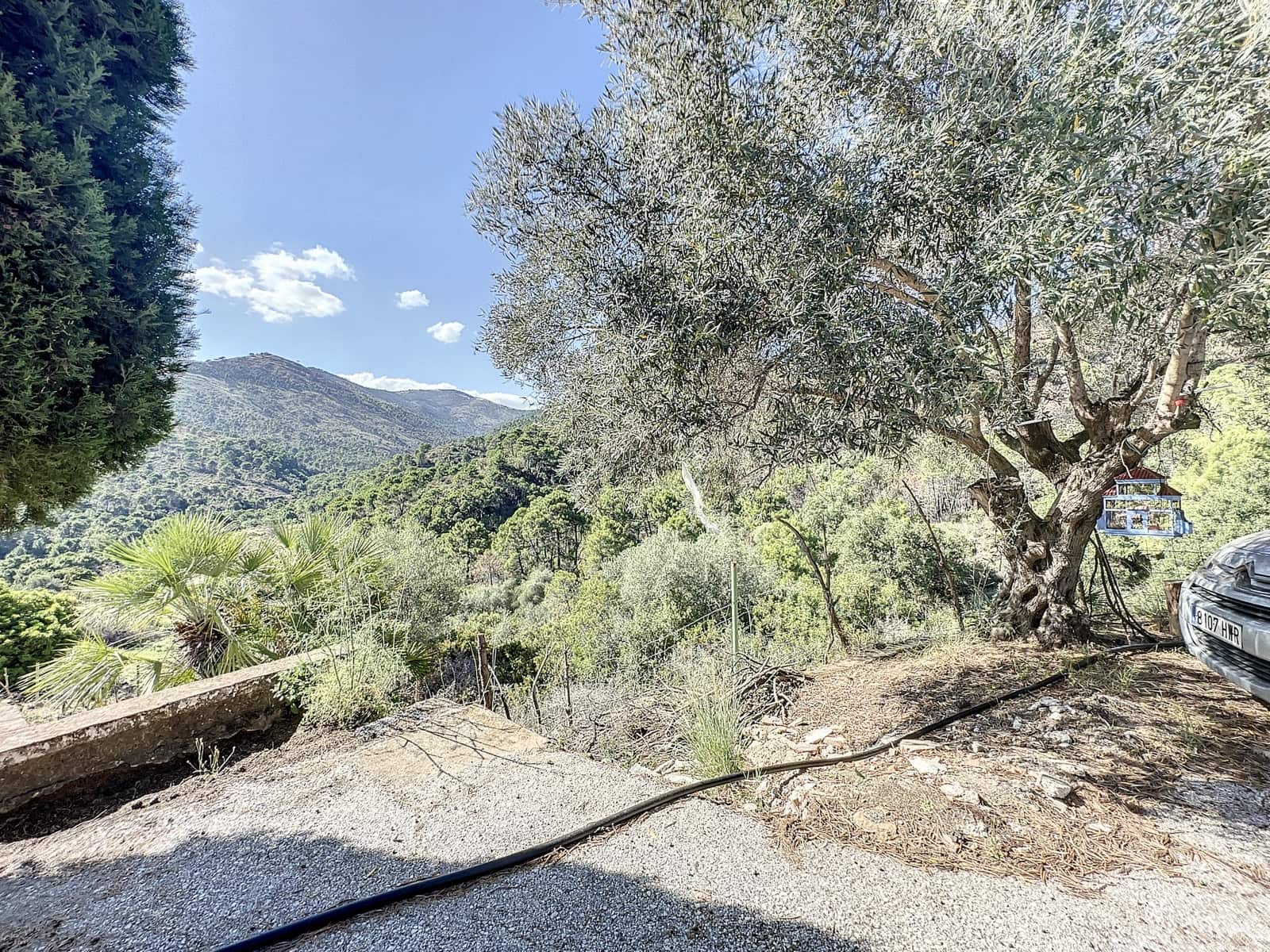 4 bedroom Finca/Country House for sale in El Padron with pool garage - € 8,000,000 (Ref: 7766836)