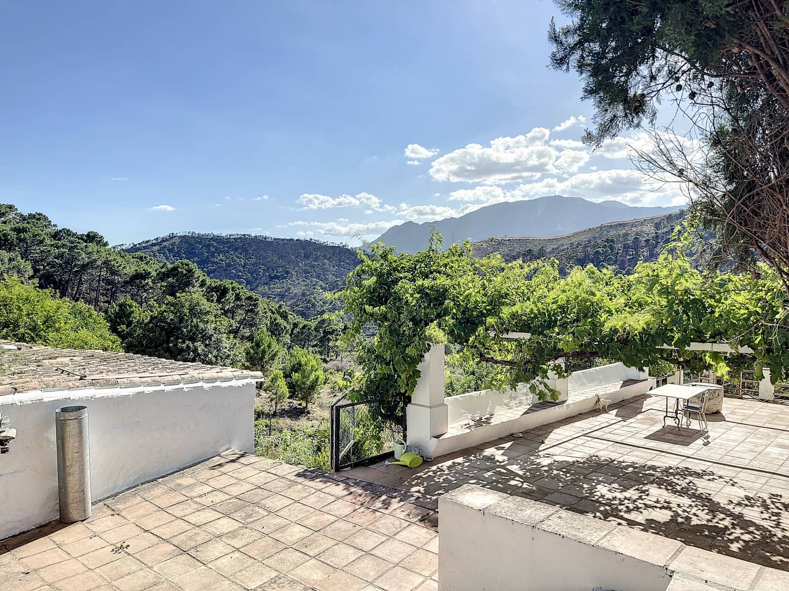 4 bedroom Finca/Country House for sale in El Padron with pool garage - € 8,000,000 (Ref: 7766836)