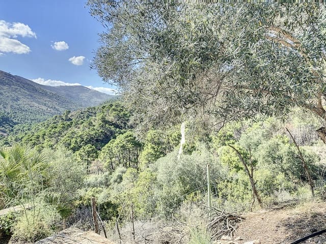 Finca/Casa Rural de 4 habitaciones en El Padrón, Estepona en venta con piscina garaje - 8.000.000 € (Ref: 7766836)