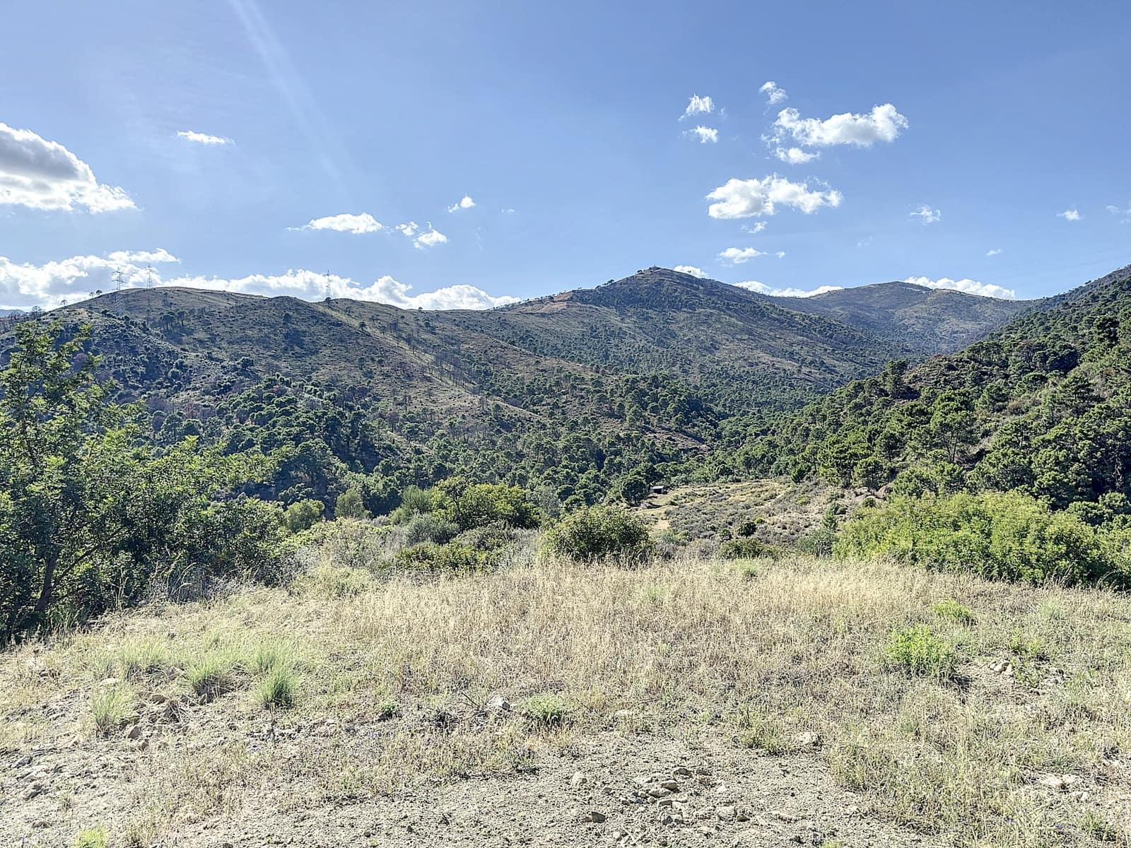 4 bedroom Finca/Country House for sale in El Padron with pool garage - € 8,000,000 (Ref: 7766836)