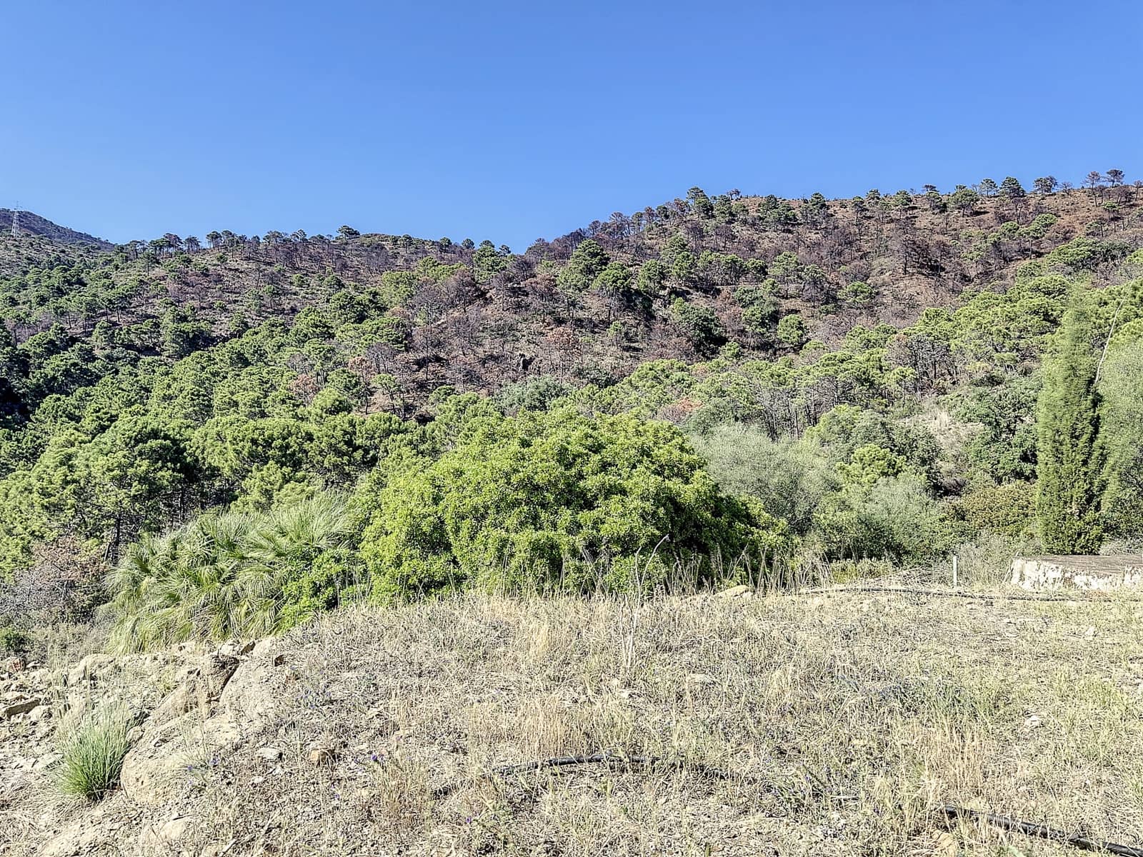 4 bedroom Finca/Country House for sale in El Padron with pool garage - € 8,000,000 (Ref: 7766836)