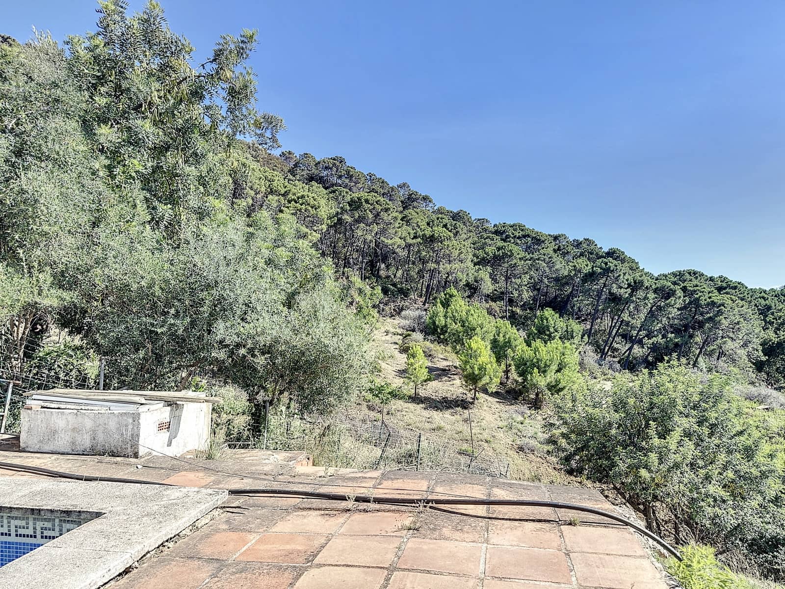 4 bedroom Finca/Country House for sale in El Padron with pool garage - € 8,000,000 (Ref: 7766836)