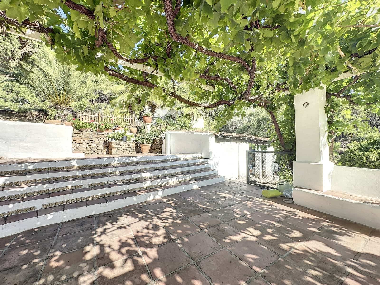 4 bedroom Finca/Country House for sale in El Padron with pool garage - € 8,000,000 (Ref: 7766836)