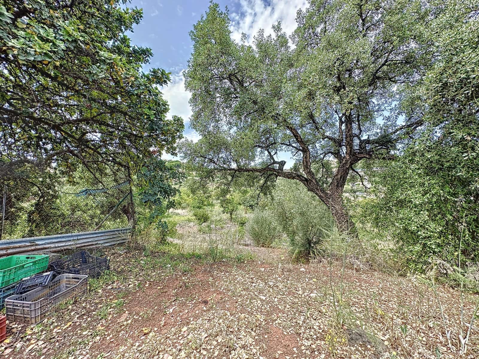 2 makuuhuone Maalaistalo myytävänä paikassa El Padron - 530 000 € (Ref: 7766839)