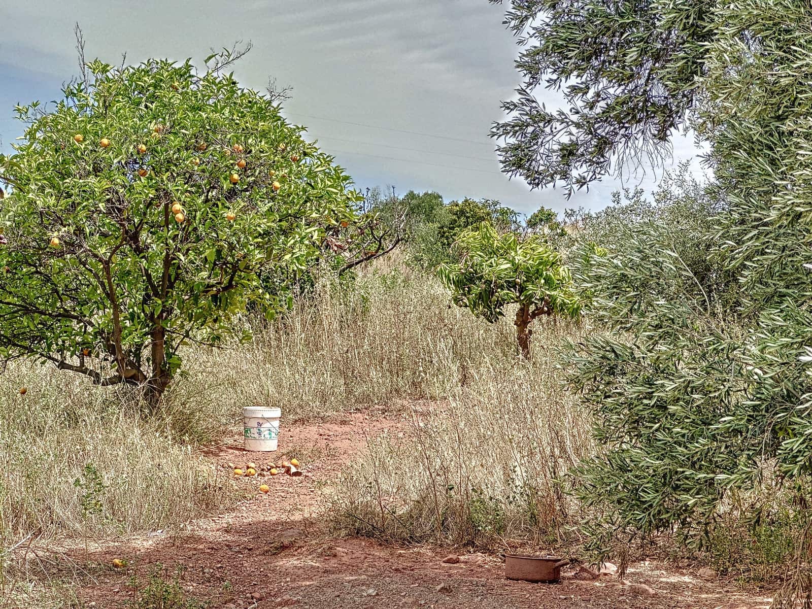 2 makuuhuone Maalaistalo myytävänä paikassa El Padron - 530 000 € (Ref: 7766839)