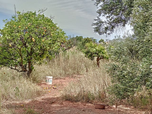 2 makuuhuone Maalaistalo myytävänä paikassa El Padrón, Estepona - 530 000 € (Ref: 7766839)