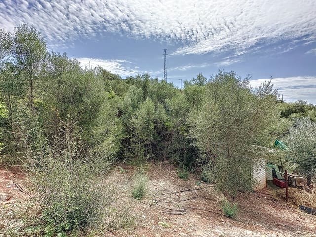 2 makuuhuone Maalaistalo myytävänä paikassa El Padrón, Estepona - 530 000 € (Ref: 7766839)