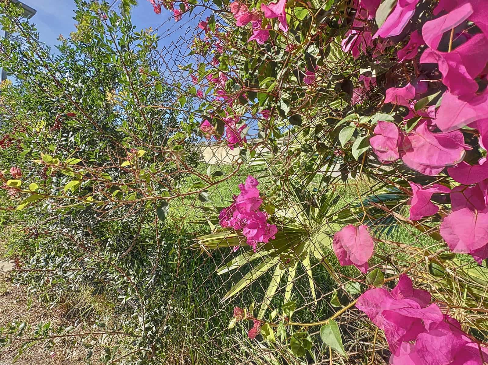Building Plot for sale in Buenas Noches - € 570,000 (Ref: 7900604)