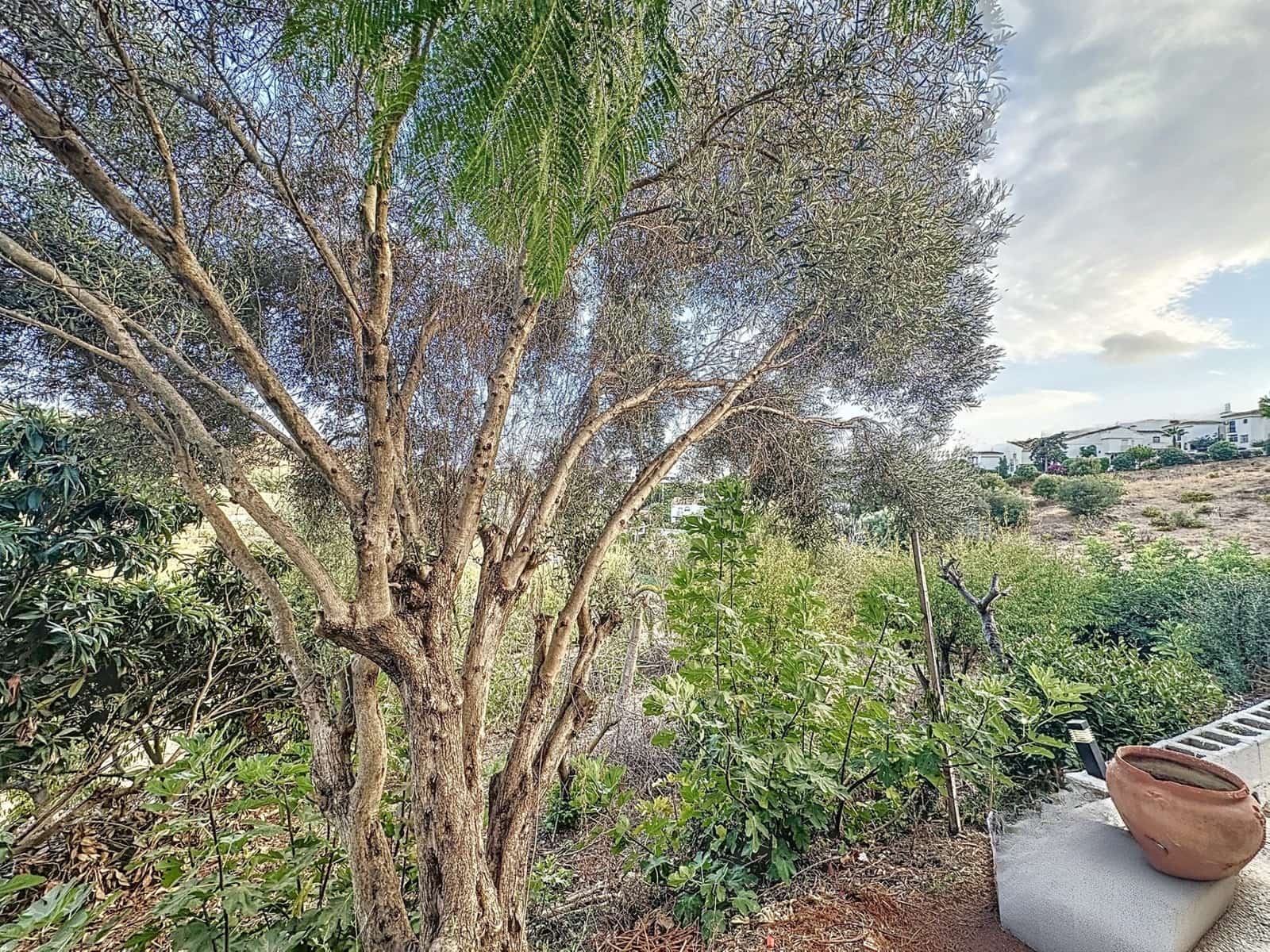 2 slaapkamer Finca/Landhuis te koop in Estepona met zwembad - € 535.000 (Ref: 8572484)