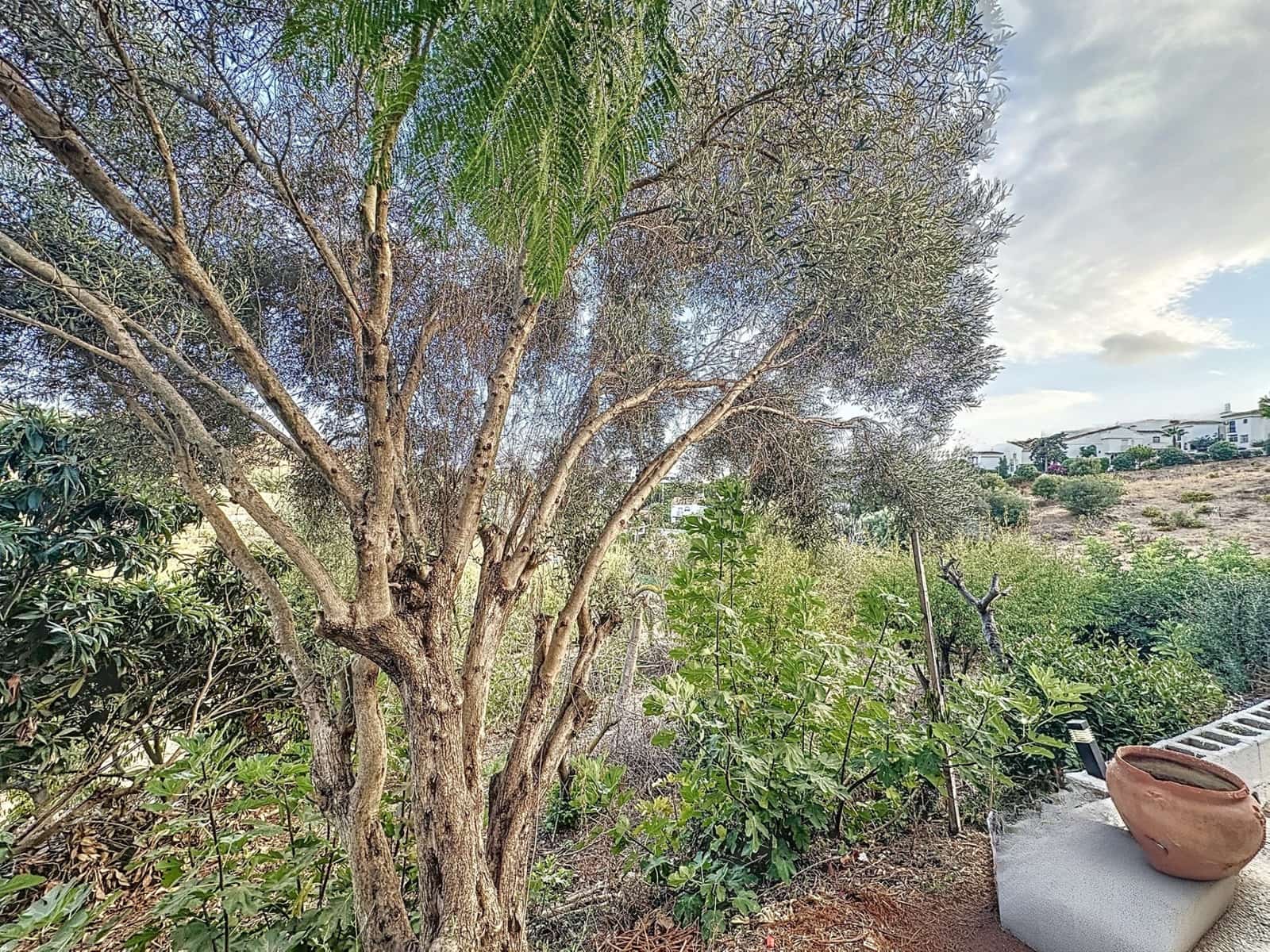 2 bedroom Finca/Country House for sale in Estepona with pool - € 535,000 (Ref: 8572484)